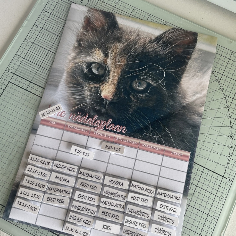 Personaalne tunni-nädalaplaan