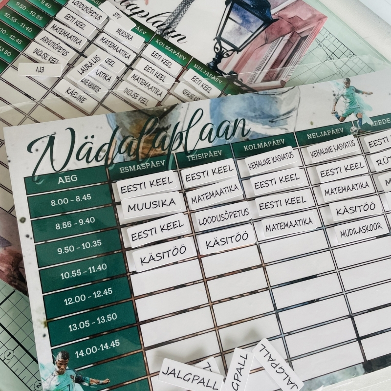 Personaalne tunni-nädalaplaan - Image 2